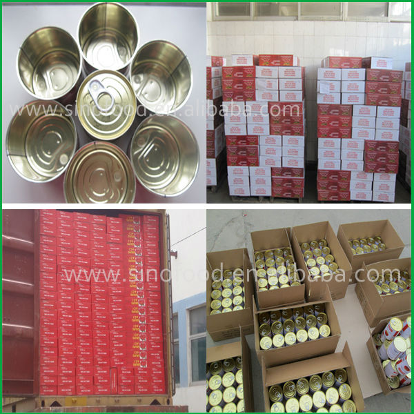 Bulk Buy Chinese canned tomato paste in sauce