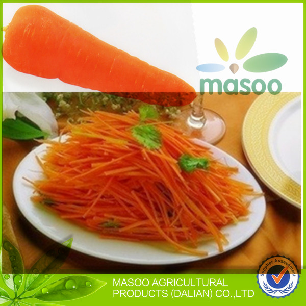 2014 new crop fresh plush carrot /fresh carrot price/carrot exporter in China