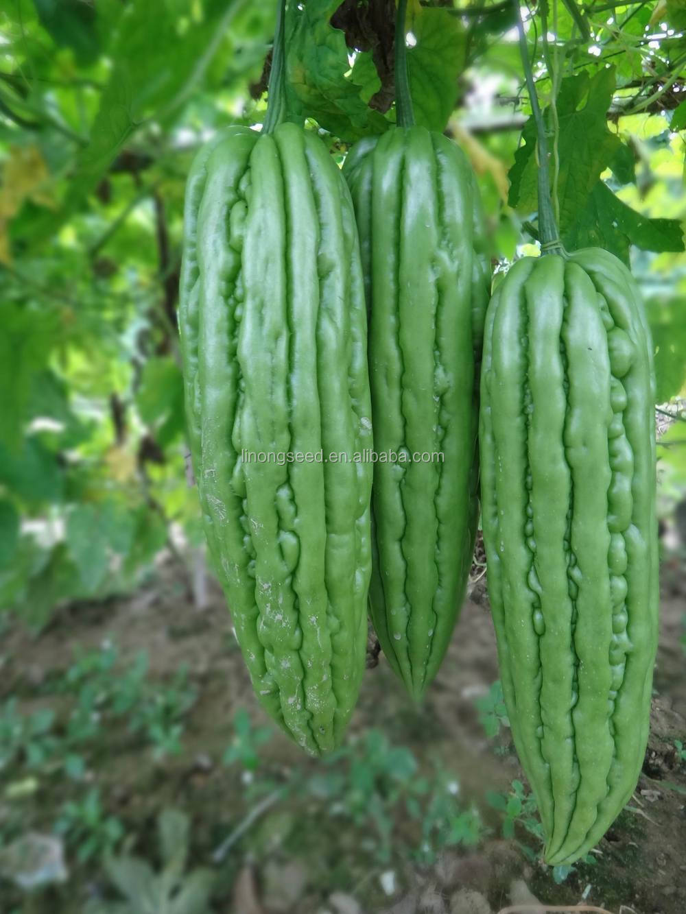Thesis on integrated weed management in cowpea