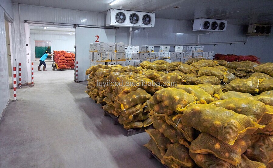 cold storage.jpg