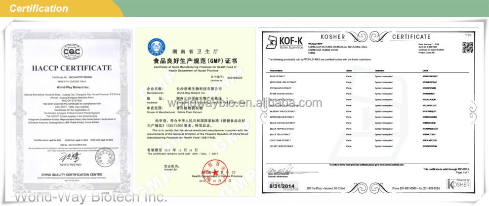 free sample for trial Certified China manufacturer R&D pure nature 10% cocoa extract catechin