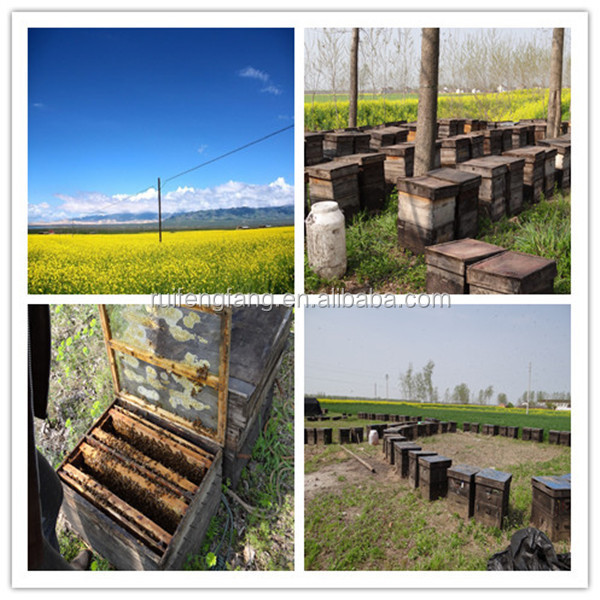top standard bee propolis powder