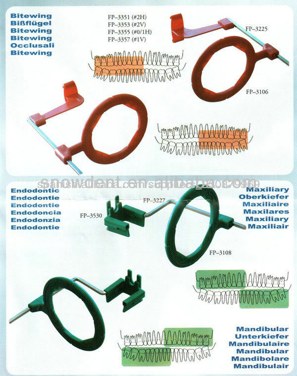 dental xcpIdentificación del