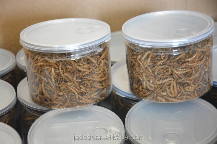 乾燥食用昆虫mealworm小麦粉仕入れ・メーカー・工場