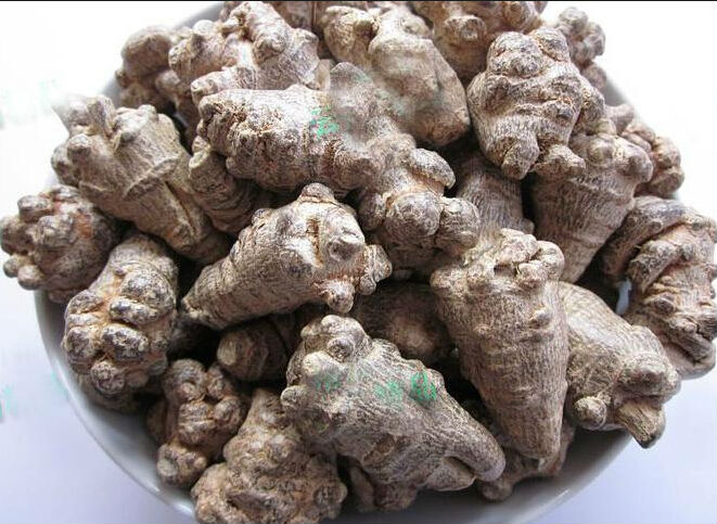 Panax Notoginseng extract