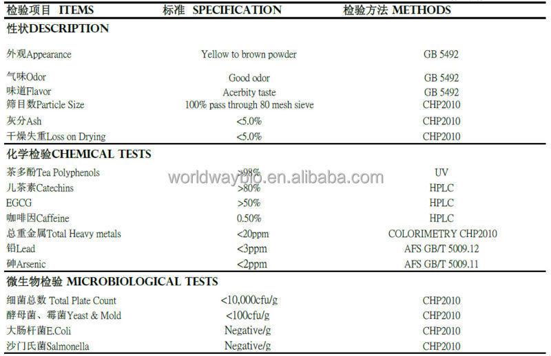 green tea extract Camellia sinensis powder,EGCG Theanine polyphenols