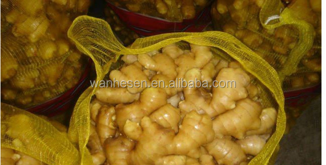 Export fresh Ginger - The Best Selling new corp fresh ginger