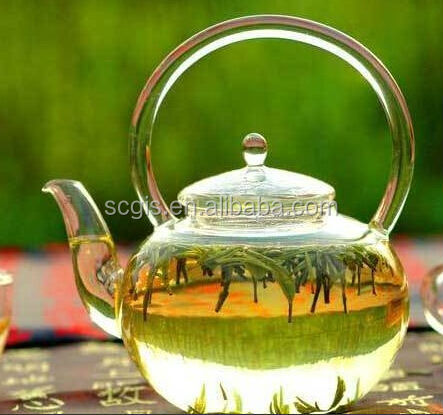 China organic green tea maojian