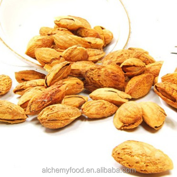 Chinese Raw Almonds Nuts for wholesale in bulk