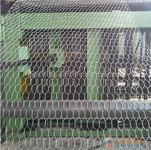 Hotdipped galvanized or PVC coated high quality best price chicken