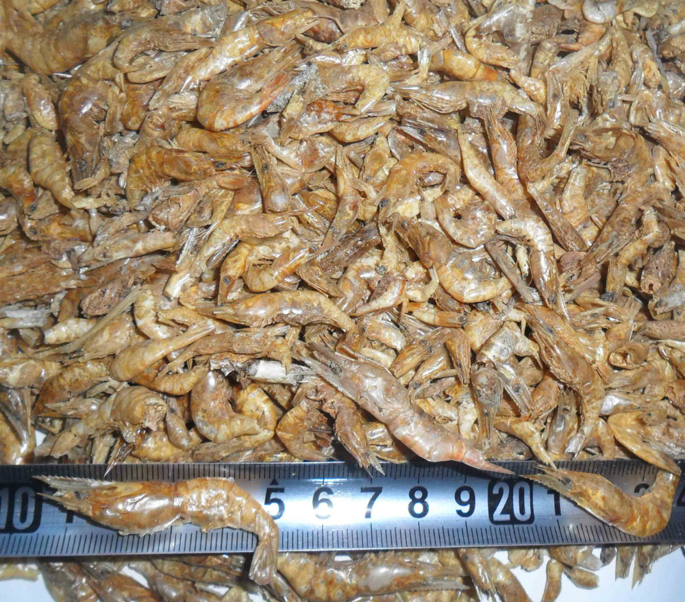 エビの輸出高品質の乾燥エビの魚用飼料仕入れ・メーカー・工場