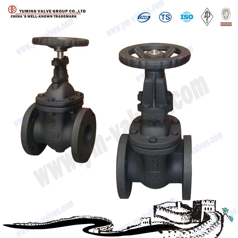 non rising stem api cast iron gate valve pn16