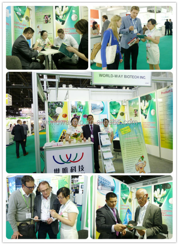 apple polyphenol free sample for trial HACCP FDA KOF-K China supplier antioxidant plant extract app