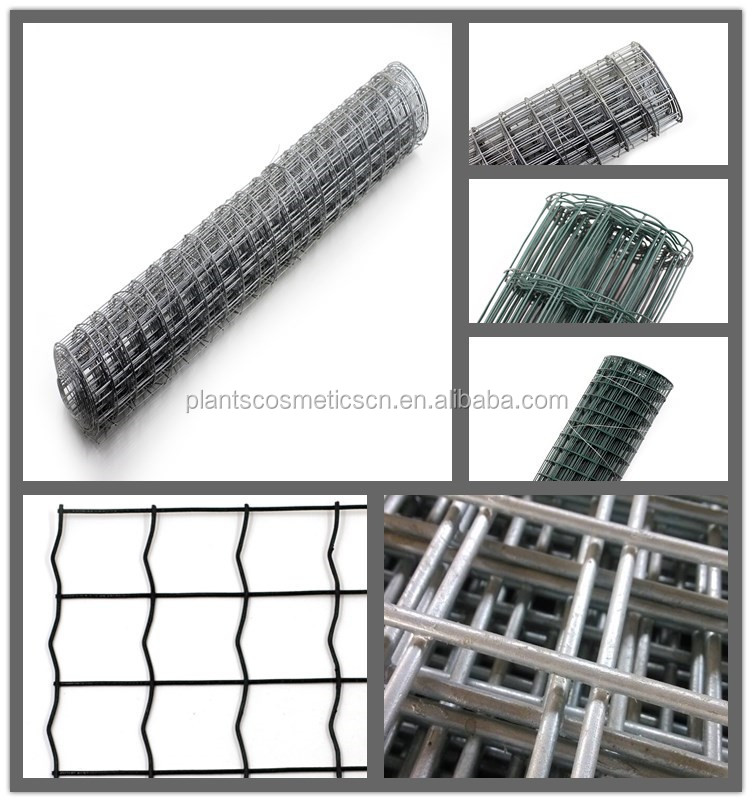 China Wholesale Welded Wire Mesh / Hardware Cloth   Buy Wire Mesh    hardware cloth wholesale