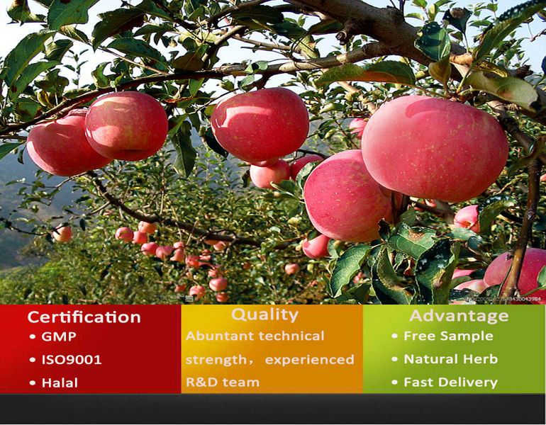 2014 Hot Sale Instant Fruit Drink Apple Tea Powder