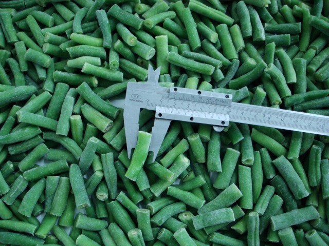new crop frozen cut green beans
