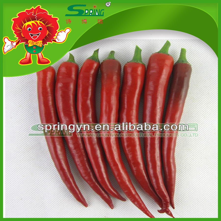 large fresh red chilli pepper supplier