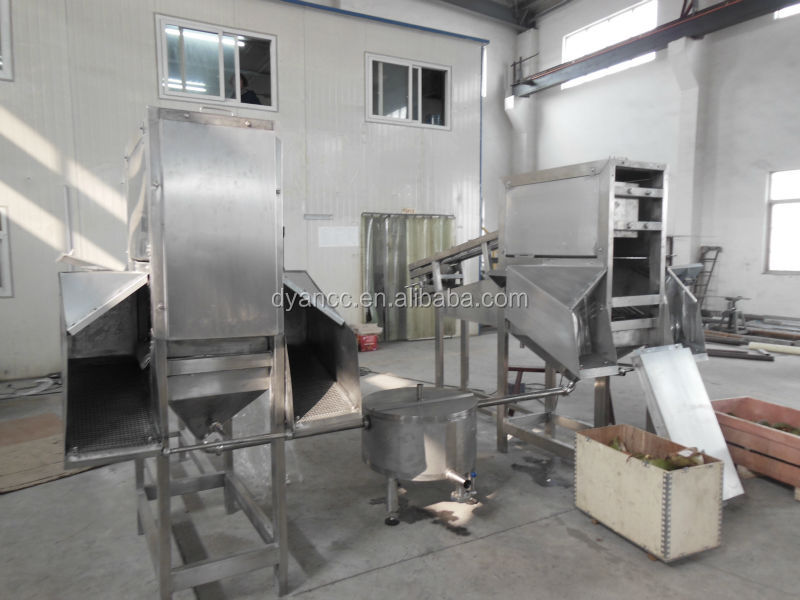 new designed coconut juice extractor
