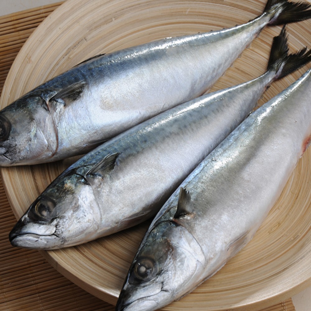 Frozen Mackerel Fish Benefits Buy Mackerel Fish Benefits,Frozen