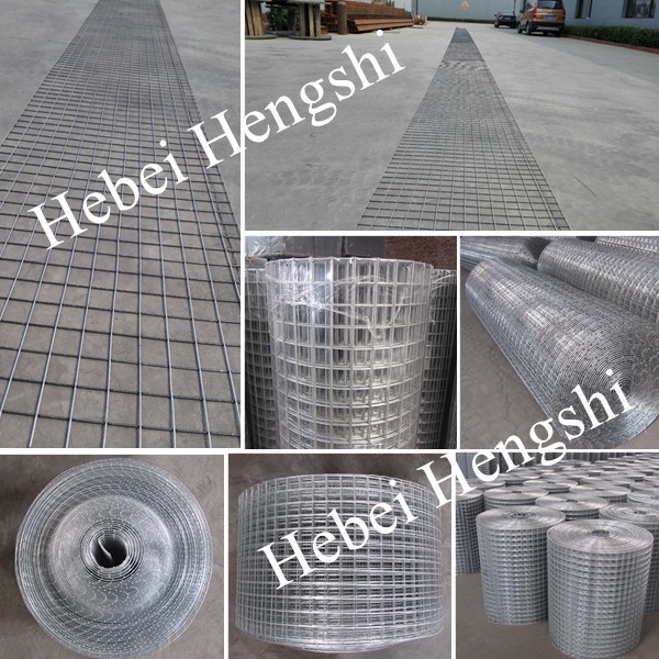 Galvanized welded wire mesh roll 001.jpg