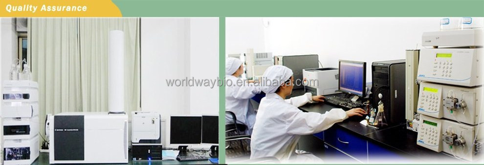 piperine free sample HACCP KOSHER GMP certified China factory food grade black pepper powder bulk piperine extract 10%