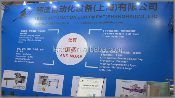 SGM080-3B-P/T Small Scale Pillow Horizontal Automatic Saffron Packaging Machine