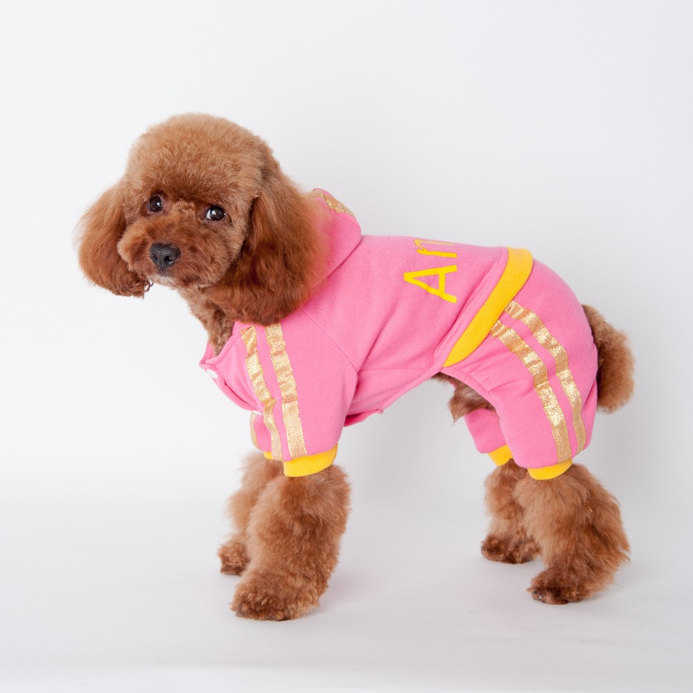 Wholesale Winter Dog Costume Four Legs Pet Bear Clothes Buy Dog