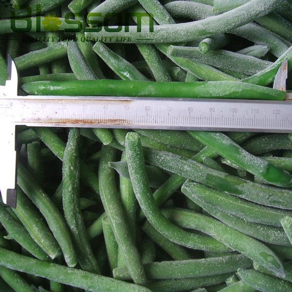 China top quality frozen green bean new crop names all fruit vegetables