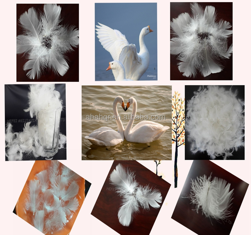 2〜4センチメートル洗浄白いアヒルの羽の格安販売のための仕入れ・メーカー・工場