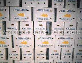 bulk new crop fresh ginger in China