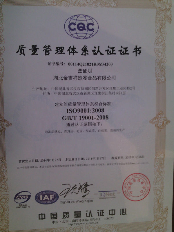wholesale frozen vegetables cauliflower from Chinese supplier