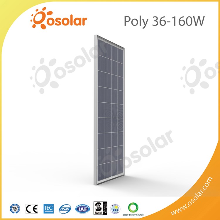 Silver Poly 36 PCS 65(750).jpg