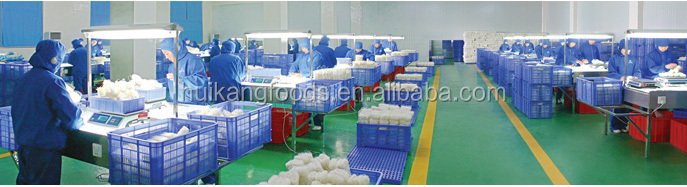 CERTIFICATED HALAL ISO FDA ORIGINAL LONGKOU VERMICELLI 250g