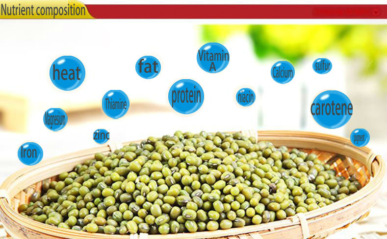 Chinese price for green mung beans with high quality