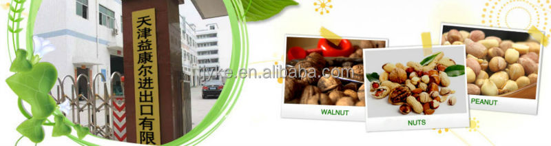 Pine nuts kernels YKE-P