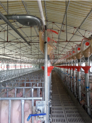 Goldenest modified plastic sdrop feeder for pigs