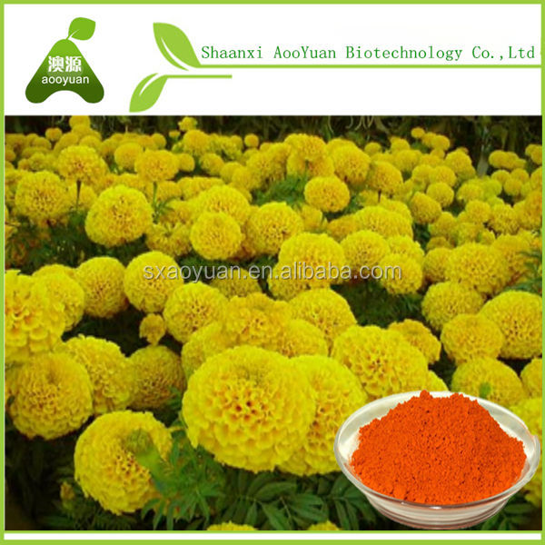 Marigold extract zeaxanthin 5% HPLC