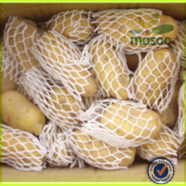 fresh holland seed potato 150-200g exporter