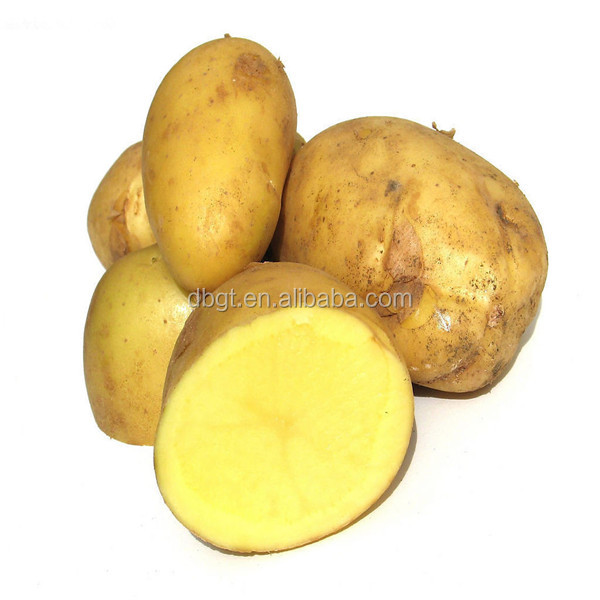 2014 Shaanxi new crop Fresh Potato in Various Package