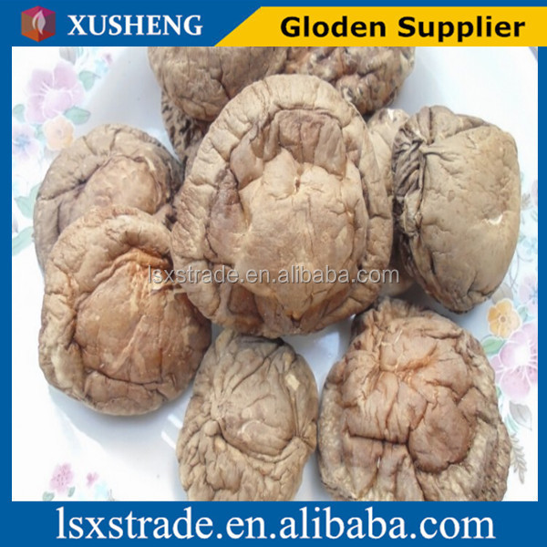 Organic Canned shiitake mushroom whole Dried Shiitake Mushroom in bulk