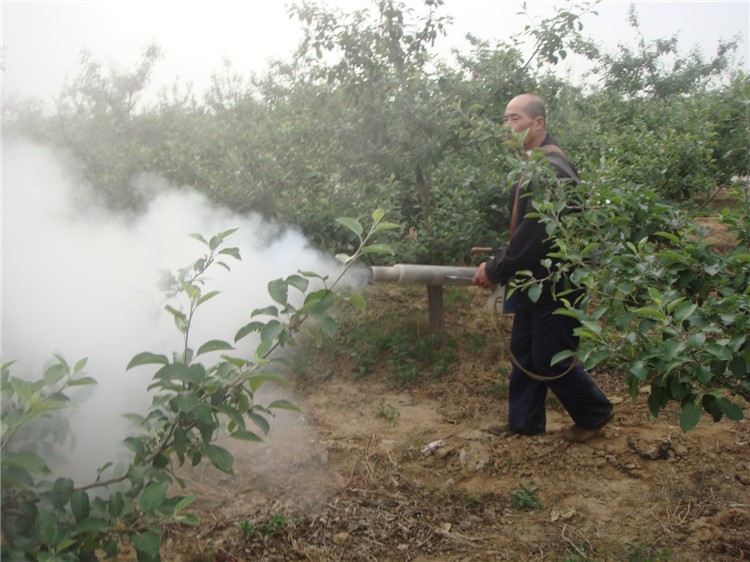 煙噴霧器、自動ポータブル殺虫剤熱噴霧器ガーデン仕入れ・メーカー・工場