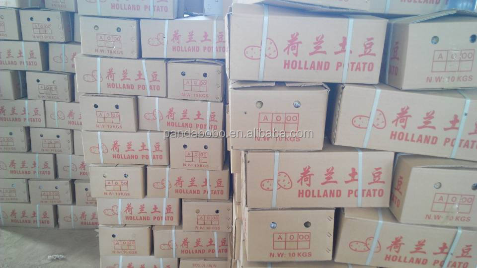 small size holland potato export to Srilanka