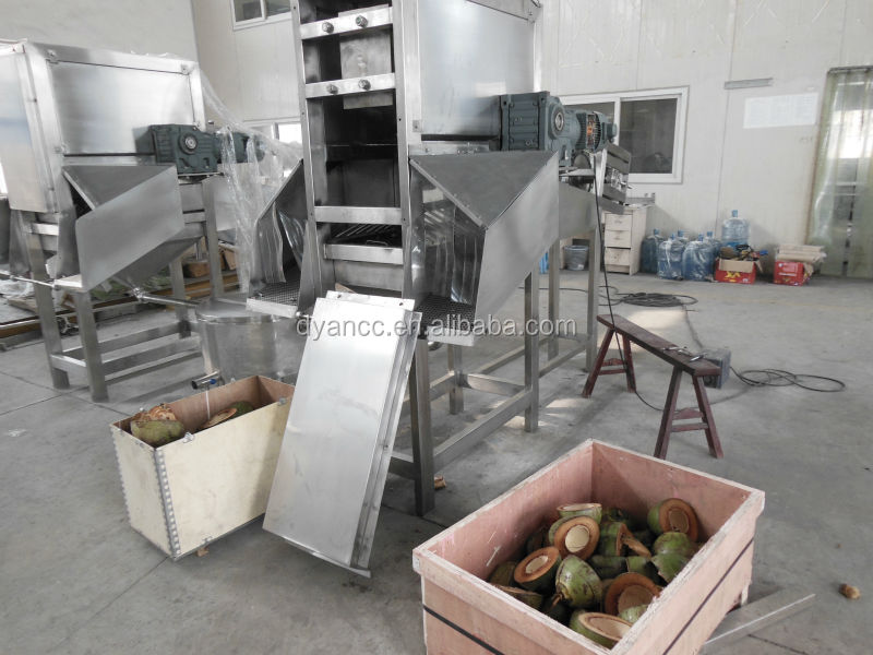new designed coconut processing machine