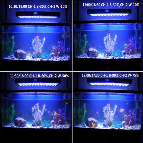 aquarium light grow reef