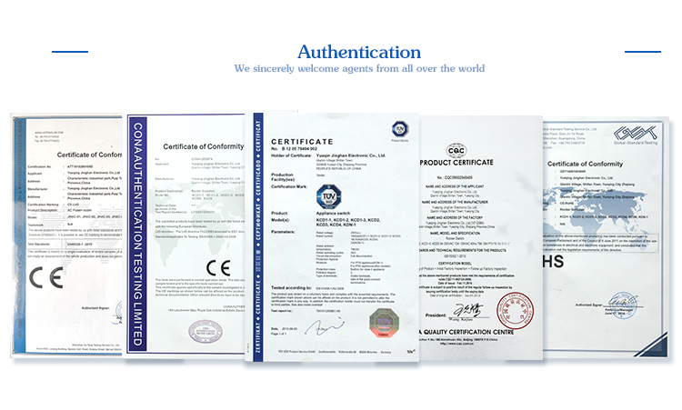 certificate.jpg