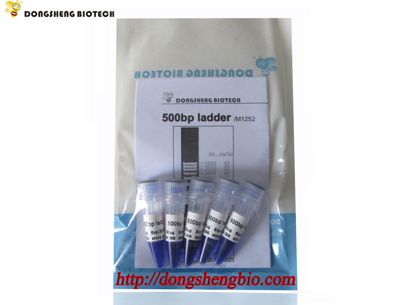 M1252 500bp ladder