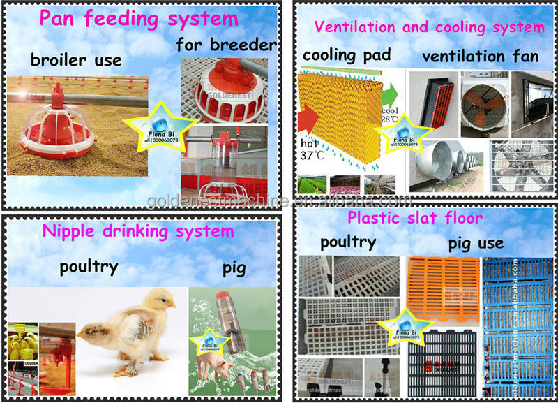 poultry_.jpg