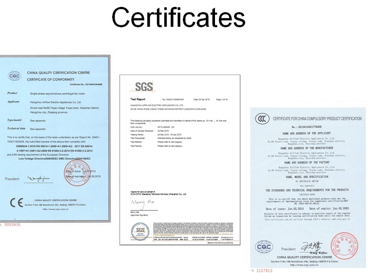 Certificate 1.jpg