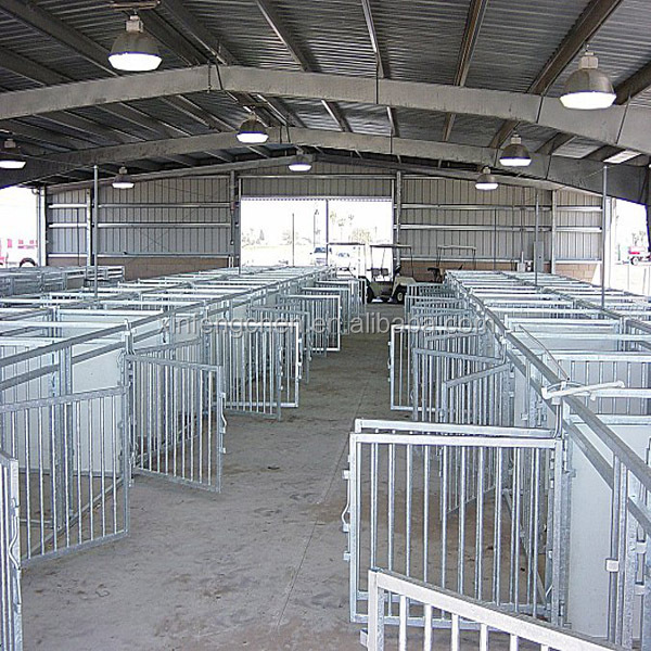 pigphoto.jpg