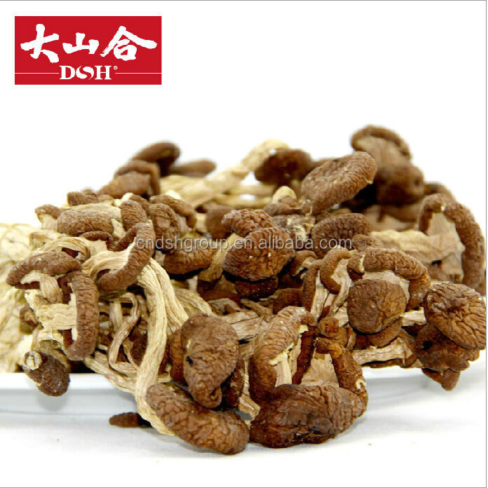 Tea Tree Mushroom P.E. Polysaccharide10%-50%
